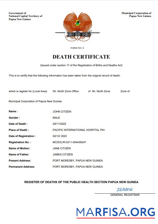 Printable Papua New Guinea vital record death certificate Word and PDF template